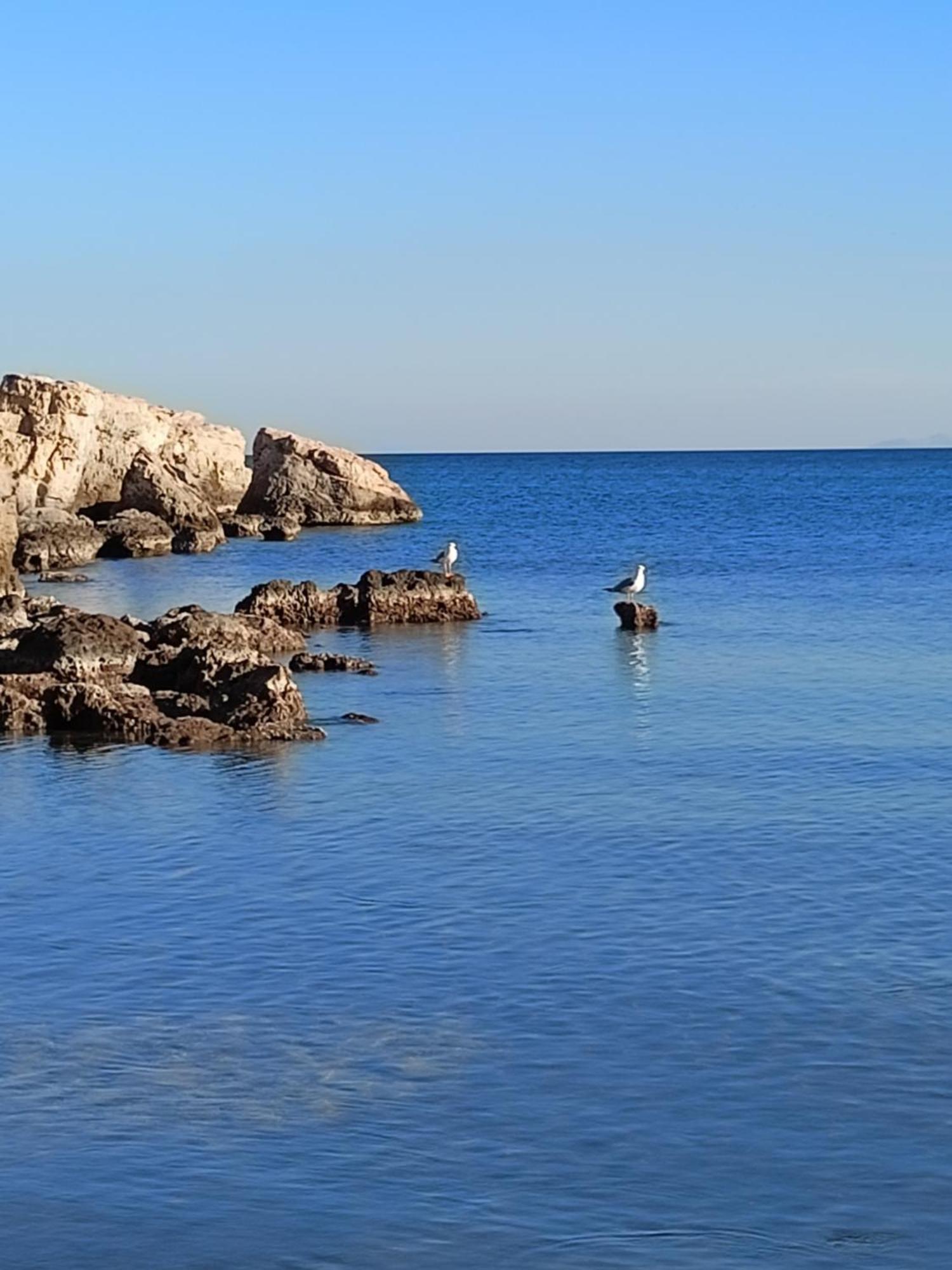 Finikas Rooms Agia Marina  Экстерьер фото